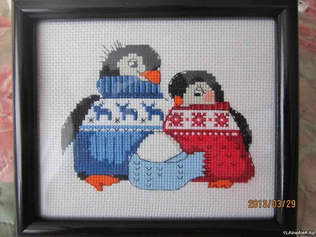 Семейка пингвинов!!!