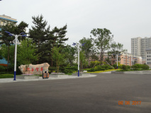 DSC03702