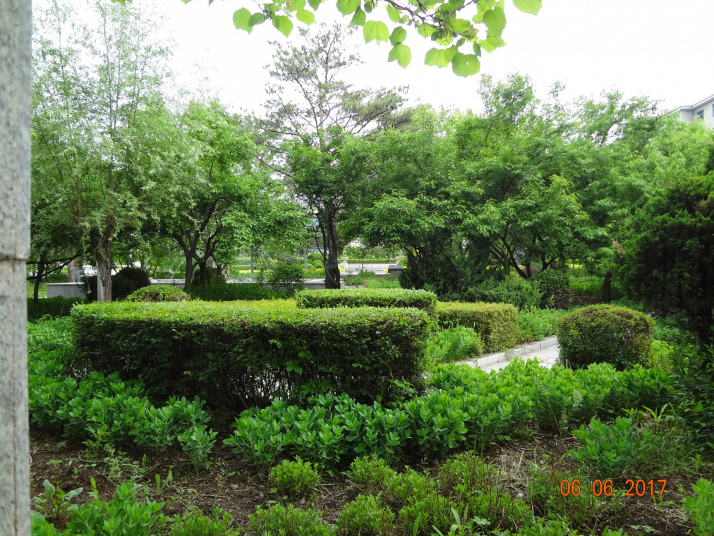 DSC03703