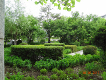 DSC03703