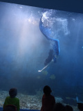 IMG 20230522 113138