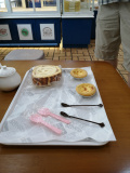 IMG 20230802 123823
