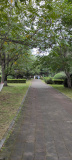 IMG 20240910 081946