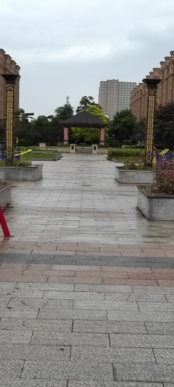 IMG 20240910 084056