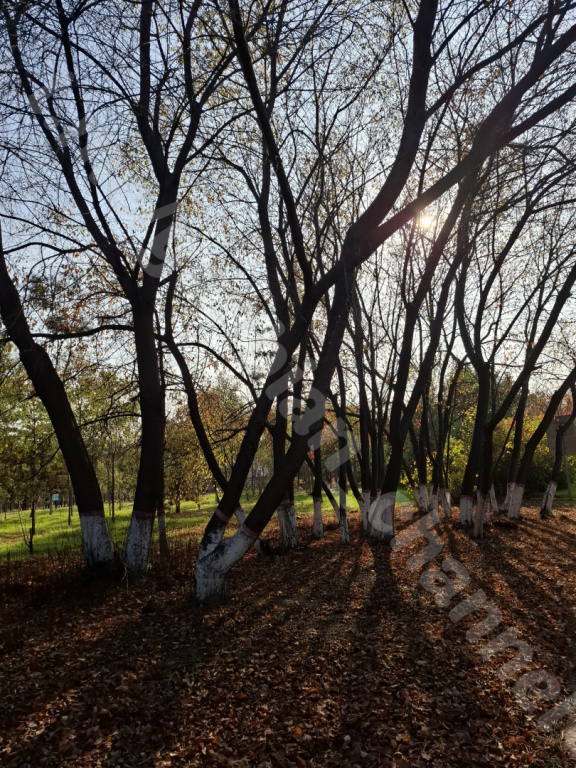 Photo 1731570486236