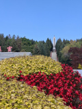 Photo 1728442692958