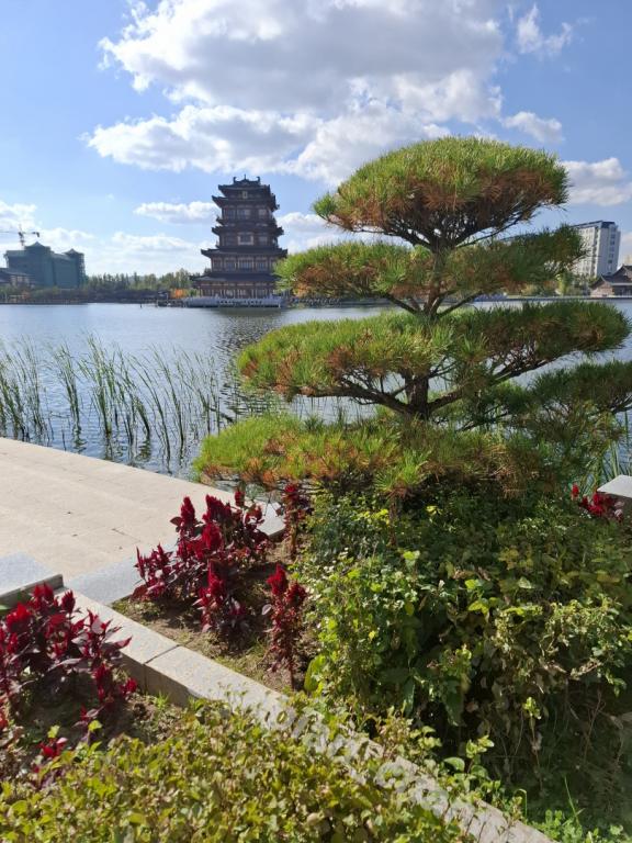 Photo 1731288520304