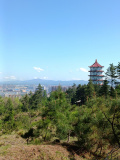 IMG 20250515 140552