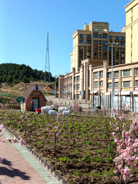 IMG 20250515 143134