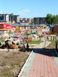 IMG 20250515 143142