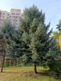 IMG 20250911 154359