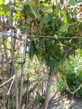 IMG 20250909 104356