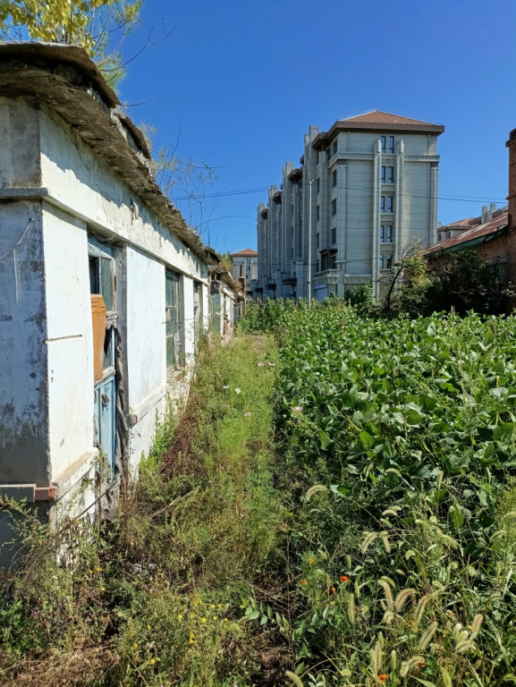 IMG 20250909 094548