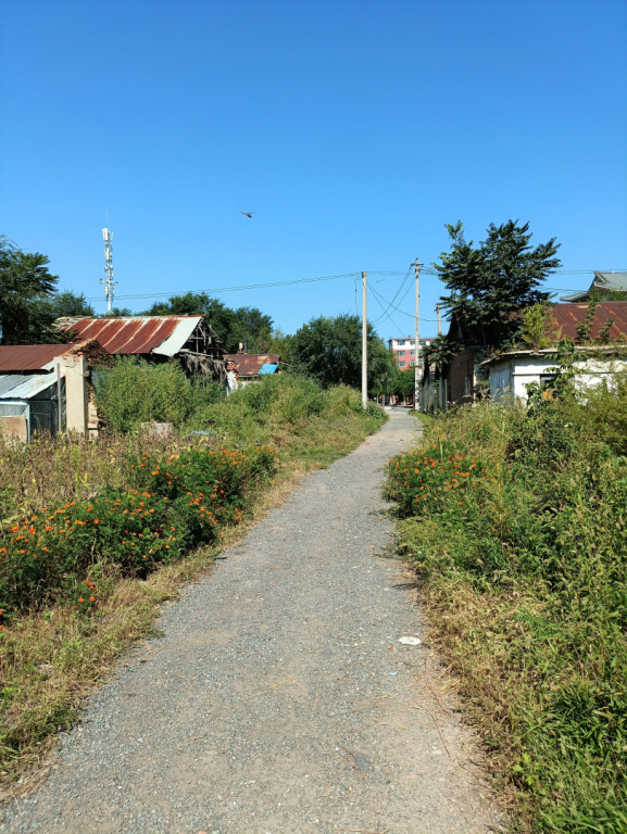 IMG 20250909 094451