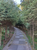 IMG 20250909 064127