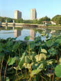 IMG 20250909 062442
