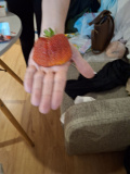 IMG 20250608 183134 270