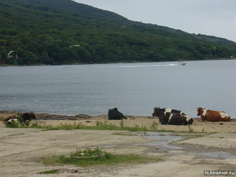 DSC02736