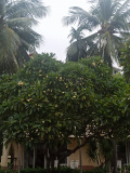 IMG 20240915 181402