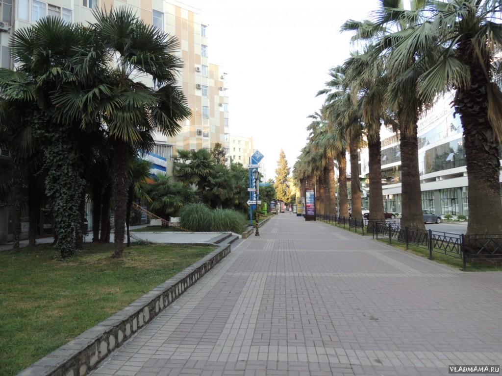 DSCN1265