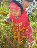 M@rishk@