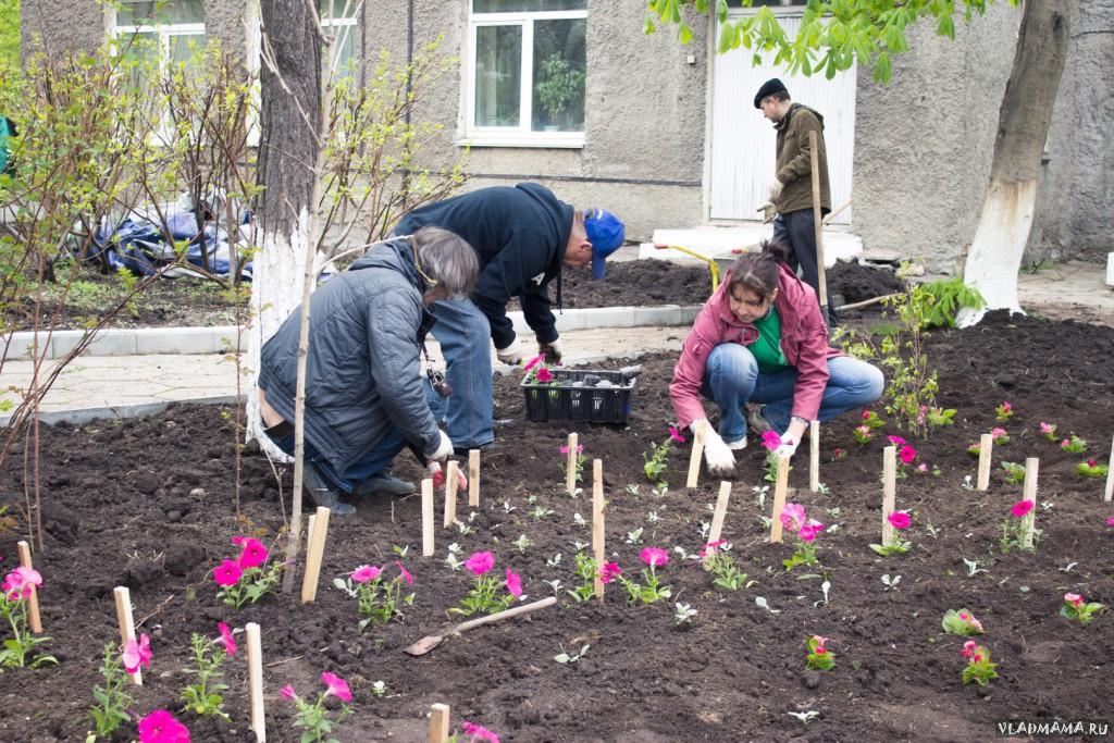 Владмама помогает детской больнице №1 (163)