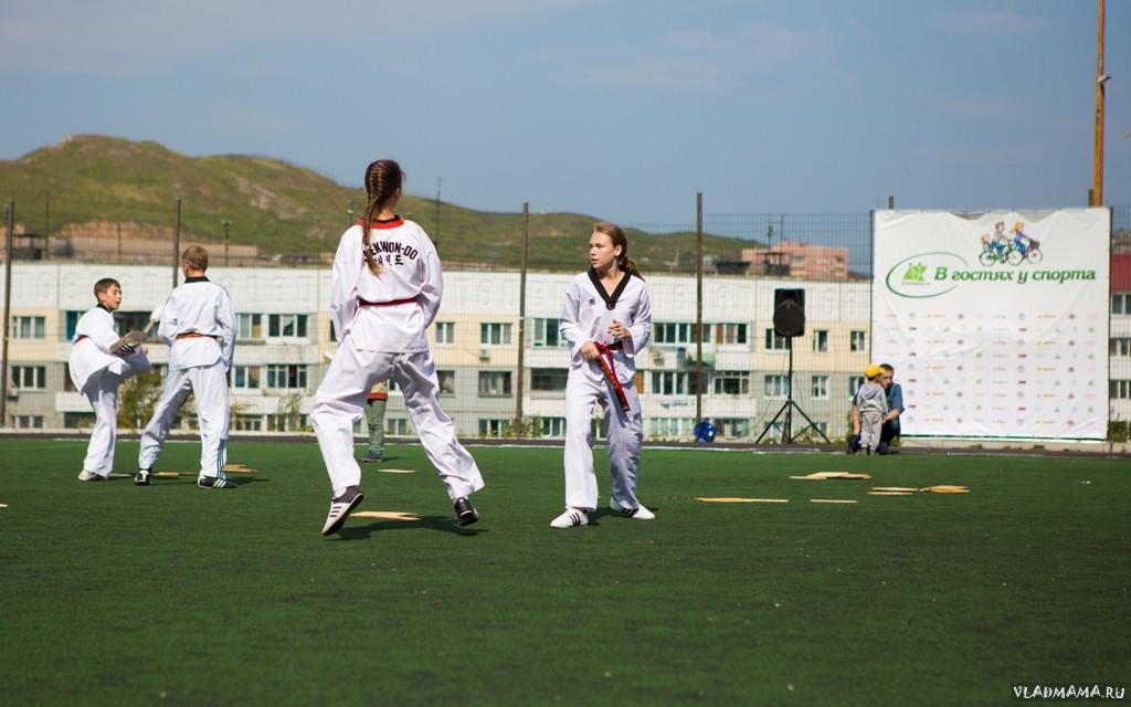 Спортфест (202)