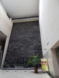 DSCN8164