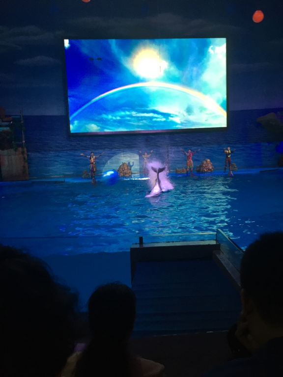 IMG 3506