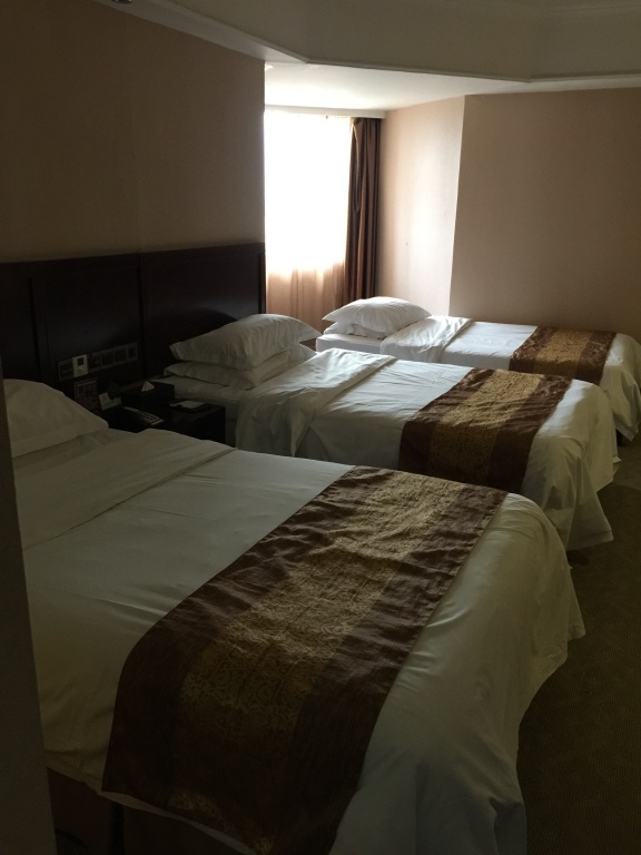 IMG 3584