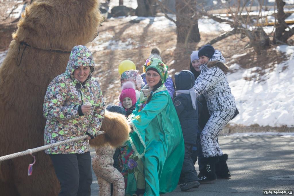 МедиаМасленица — 2018 (4988)