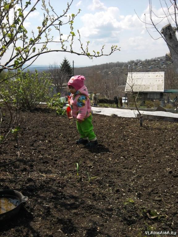 Помогаем бабушке на даче