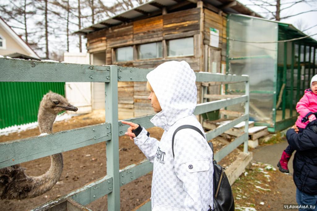 Поездка в зоопарк (5141)
