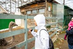 Поездка в зоопарк (5141)