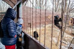 Поездка в зоопарк (5171)