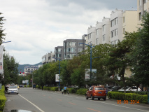 DSC02770