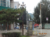 DSC02773
