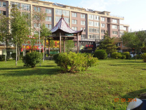 DSC02837