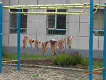 DSC03109