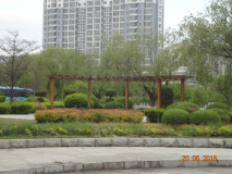 DSC03139