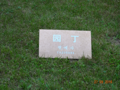 72009