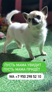 73512