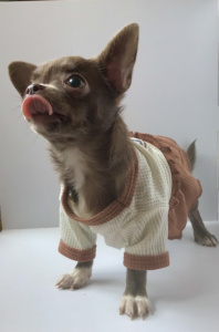 75871