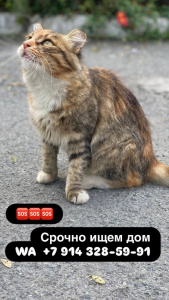 76435