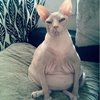 Аватара пользователя