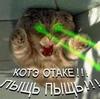 Аватара пользователя